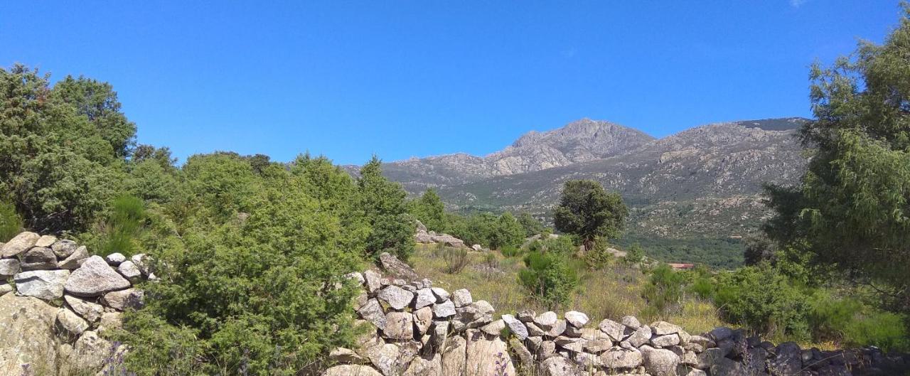 Acogedora Casa Rural En La Sierra De Madrid 마타엘피노 외부 사진